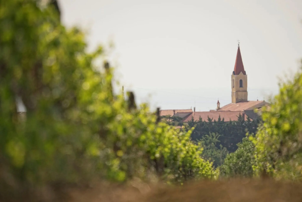 Istra Wine and Walk 2024: Pridružite se avanturi šetnje kroz vinograde i maslinike sjeverozapadne Istre | Karlobag.eu