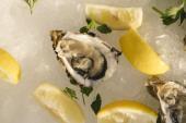 Chef’s Table in Karigador on 6 June with Skoko, Brajković, Hrvatin, Istrian wines and music