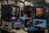 Révolution dans l’espace : la mission SpaceX-33 transporte sur l’ISS des bioprinters d’organes, un médicament pour les os et une imprimante 3D métallique