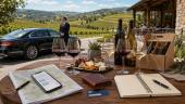 Wine Travel Without Costly Mistakes: How To Plan Tastings, Transport, Lunch And Accommodation