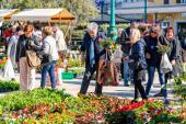 Ein grünes Wochenende auf Lošinj bringt eine Blumenmesse, eine Spargelfest und eine Öko-Aktion zur Reinigung von Meer und Küste