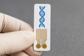 Revolution in der Diagnostik: Wissenschaftler am MIT entwickelten günstige DNA-Sensoren zur schnellen Erkennung von Krebs und Krankheiten