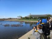 World Birdwatching Day in Nin: children turn salt pans into a classroom and learn about nature and sustainability