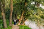 Međimurje on the European Camino map: a new pilgrimage route reveals the beauty of the region