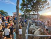 Visit Cres and enjoy the event "Cres sheep" with a rich program and performance by Alen Vitasović