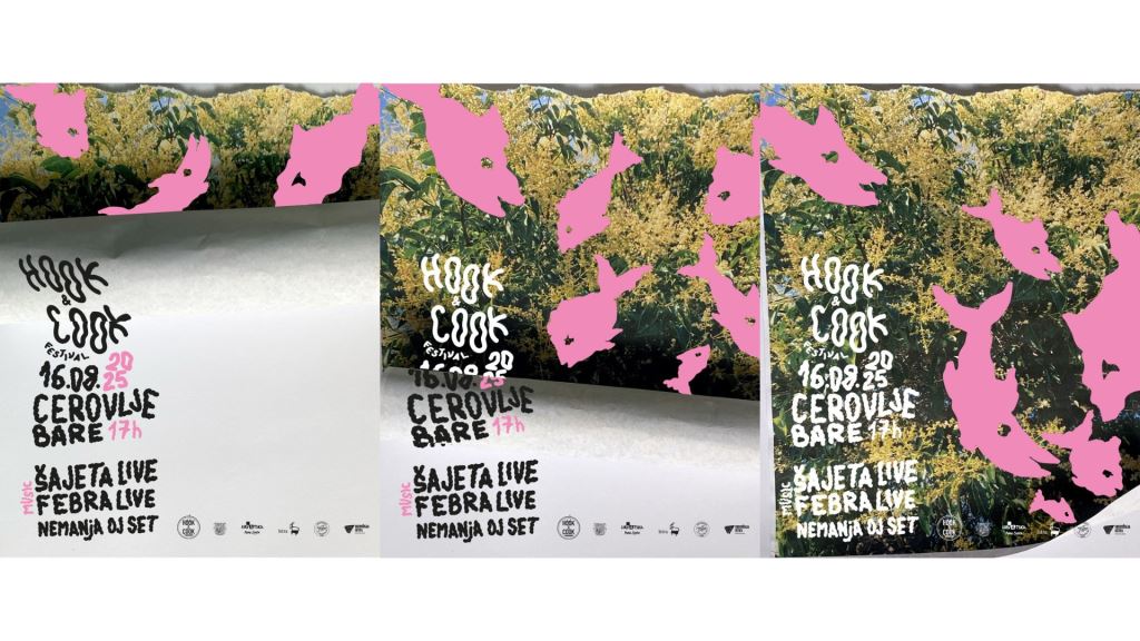 Hook & Cook Festival 2025 in Cerovlje: Top gastronomy and music with Šajeta and Febra in the heart of Istria