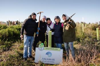 Boisement de Valdebec : Valamar et les bénévoles restaurent l