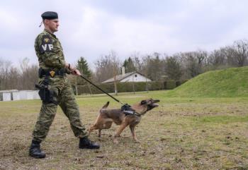 Specijalistička obuka vojnih pasa i vodiča u Centru "Satnik Krešimir Ivošević" Dugom Selu osigurava spremnost za zadatke u Pukovniji Vojne policije i Ministarstvu financija | Karlobag.eu