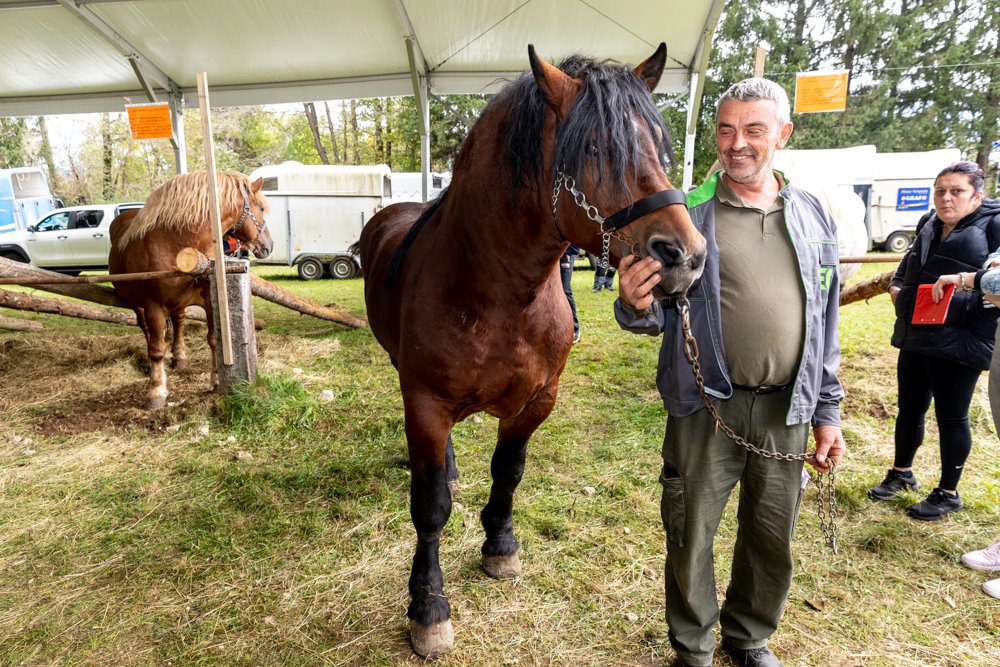 La exposición de caballos y tradición croata como parte del otoño en Lika reunió a más de 30.000 visitantes