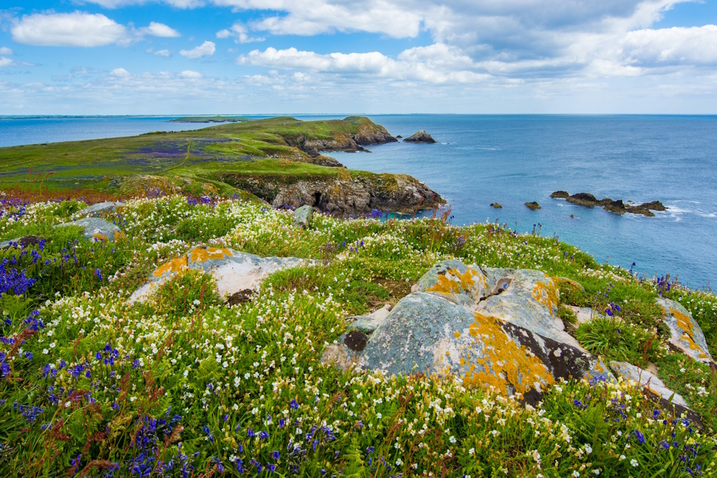 Otkrijte čari Irske, od avanturističkog turizma do održive budućnosti | Karlobag.eu