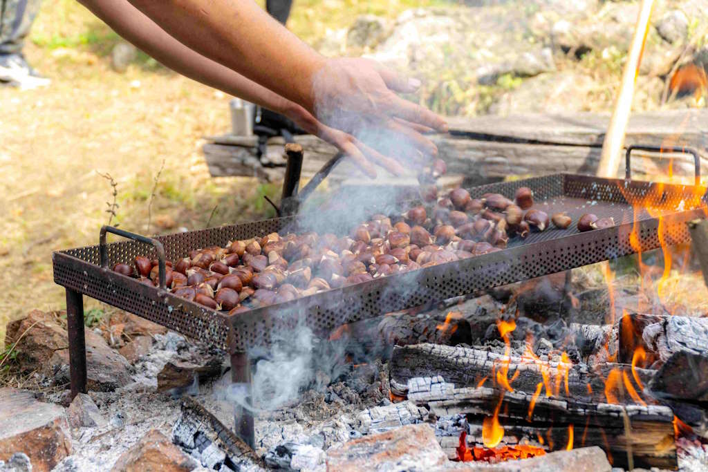 26. Le festival de la châtaigne à Sveti Ivan Zelina a attiré des milliers de visiteurs avec une riche offre gastronomique, des concours et des divertissements en famille