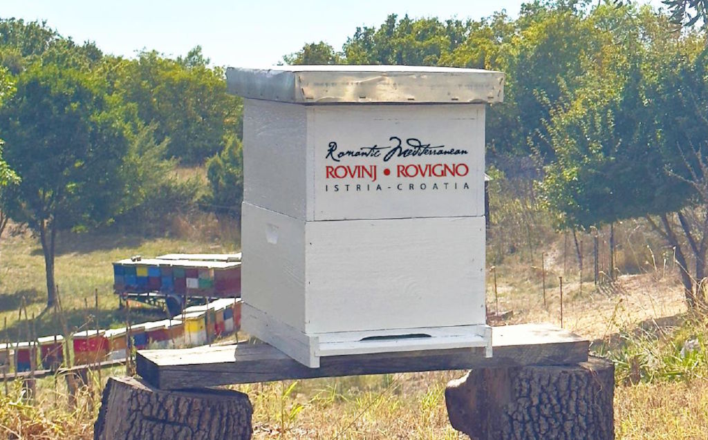 Projekt „Postanite heroj prirode“ u Rovinju potiče očuvanje pčela i održivi turizam