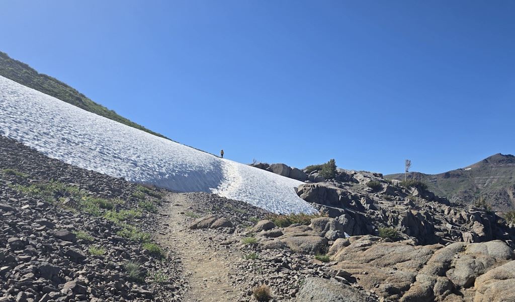 Bruno Šimleša on the Pacific Crest Trail: A 4,300 km humanitarian adventure to help cancer patients