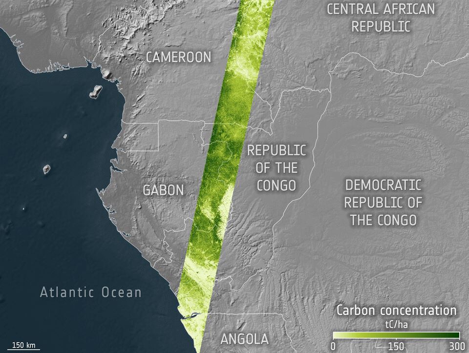 El satélite Biomass de la ESA abre sus datos: mediciones de radar globales de bosques y carbono disponibles gratuitamente para todos