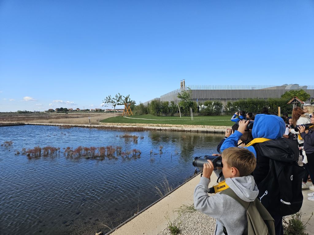 World Birdwatching Day in Nin: children turn salt pans into a classroom and learn about nature and sustainability
