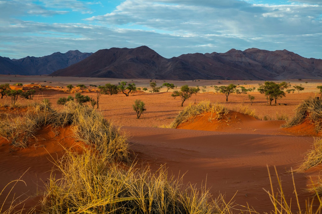 Istražite Namibiju: od divljih životinja do kulturnog bogatstva i avanturističkog turizma | Karlobag.eu