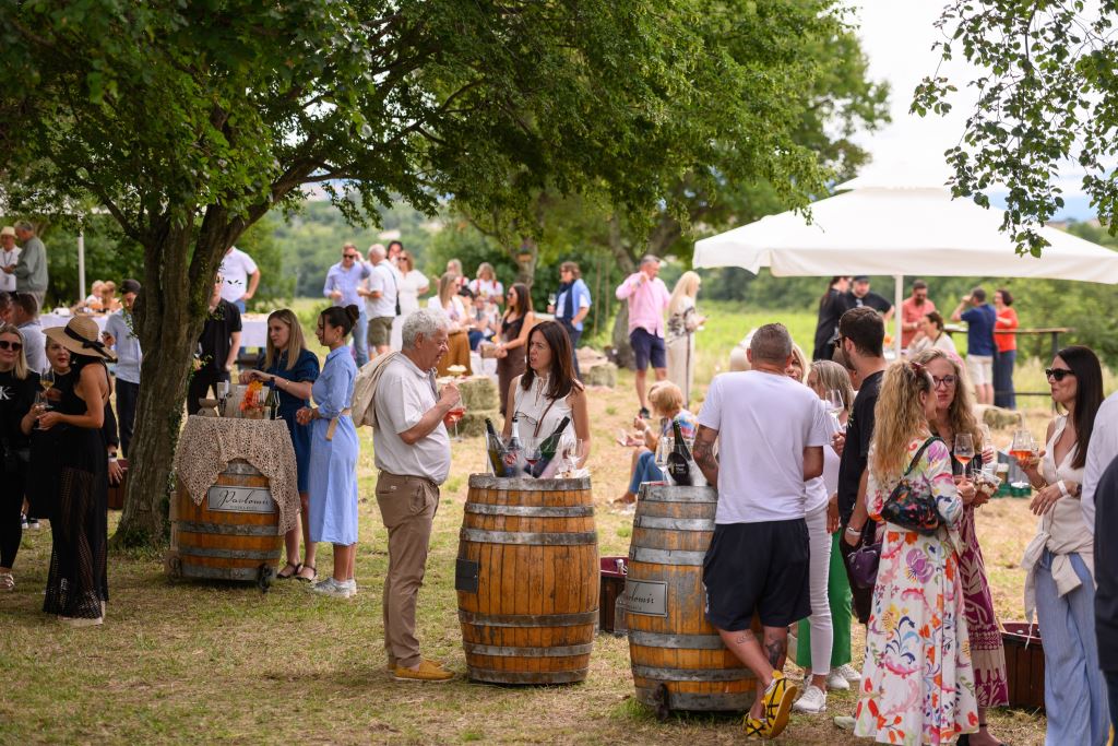 Sparkling breakfast in Pavlomir vineyard: program, winemakers and delicacies in Novi Vinodolski 2026