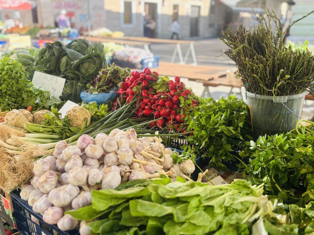 Rijeka uruchomiła Fale smaków: wiosenny projekt gastronomiczny łączy sezonowe dania, dziedzictwo i ofertę turystyczną