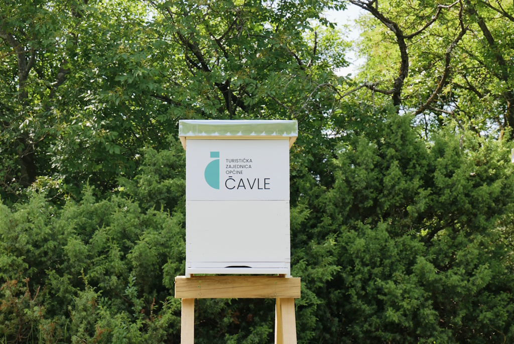 Čavle Municipality Tourist Board as a hero of nature: New bee hive promotes sustainable tourism and biodiversity