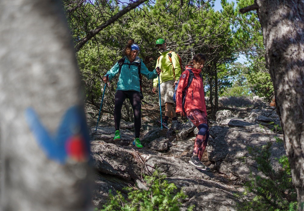 Free guided tours on Cres explore the natural beauties of the island